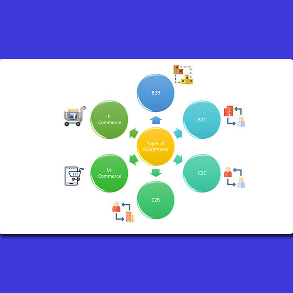 ACESnWS types of ecommerce