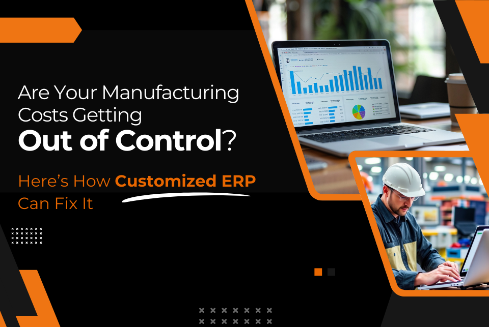 Customized ERP Systems for Cost-Effective Manufacturing